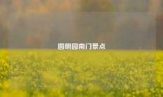 圆明园南门景点