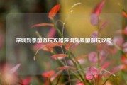 深圳到泰国游玩攻略深圳到泰国游玩攻略