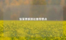张家界旅游社推荐景点