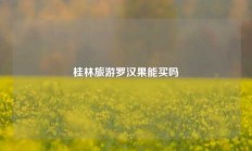 桂林旅游罗汉果能买吗