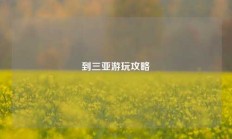 到三亚游玩攻略