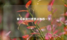 青岛旅游付费景点推荐一下
