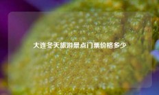大连冬天旅游景点门票价格多少