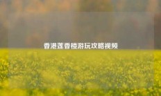 香港莲香楼游玩攻略视频