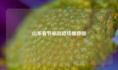 山东春节旅游路线推荐图