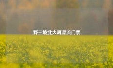 野三坡北大河漂流门票