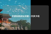 天津自助游玩攻略一天多少钱