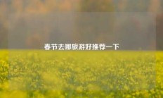 春节去哪旅游好推荐一下