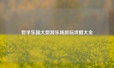 世宇乐园大型游乐场游玩攻略大全