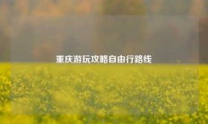 重庆游玩攻略自由行路线