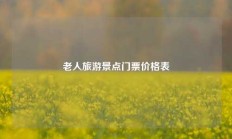 老人旅游景点门票价格表