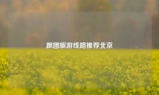 跟团旅游线路推荐北京