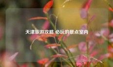 天津旅游攻略 必玩的景点室内