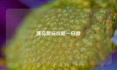 蓬岛游玩攻略一日游
