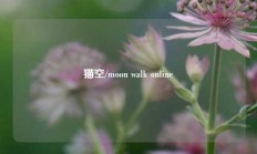 猫空/moon walk online