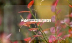 黄山醉温泉游玩攻略图