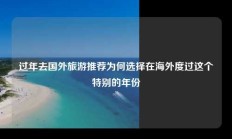 过年去国外旅游推荐为何选择在海外度过这个特别的年份