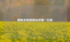 桐柏水帘洞游玩攻略一日游