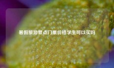 暑假旅游景点门票价格学生可以买吗
