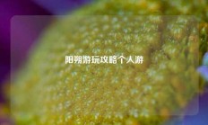 阳朔游玩攻略个人游