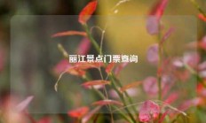 丽江景点门票查询