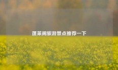 蓬莱阁旅游景点推荐一下