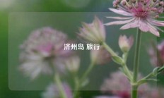 济州岛 旅行
