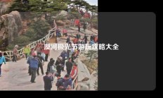 漠河极光节游玩攻略大全
