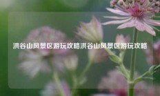 洪谷山风景区游玩攻略洪谷山风景区游玩攻略