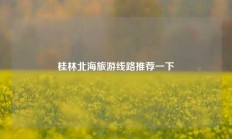 桂林北海旅游线路推荐一下