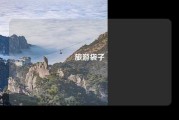 旅游袋子
