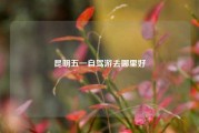昆明五一自驾游去哪里好