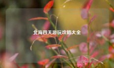 北海四天游玩攻略大全