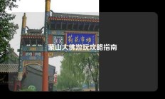 蒙山大佛游玩攻略指南