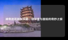 神奇迷宫游玩攻略一场探索与冒险的奇妙之旅