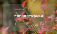 安徽方特梦幻王国游玩项目