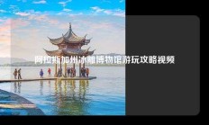阿拉斯加州冰雕博物馆游玩攻略视频