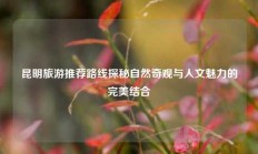 昆明旅游推荐路线探秘自然奇观与人文魅力的完美结合
