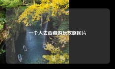 一个人去西藏游玩攻略图片