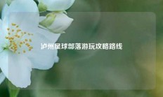 泸州星球部落游玩攻略路线