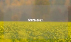 金秋桂林行