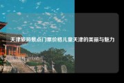 天津旅游景点门票价格儿童天津的美丽与魅力