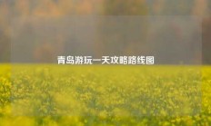 青岛游玩一天攻略路线图