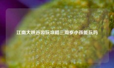 江南大峡谷游玩攻略三周岁小孩能玩吗