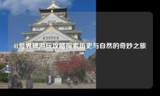 41号界碑游玩攻略探索历史与自然的奇妙之旅