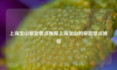 上海宝山旅游景点推荐上海宝山的旅游景点推荐