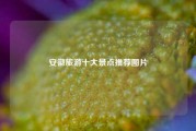 安徽旅游十大景点推荐图片
