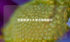 安徽旅游十大景点推荐图片