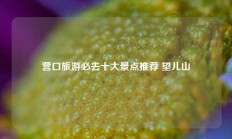 营口旅游必去十大景点推荐 望儿山