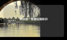 纳尔逊·曼德拉国际日